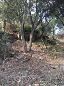 sardinia concediu